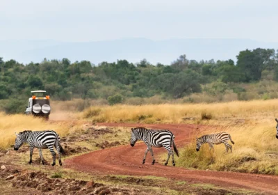 Park fees in kenya masai mara